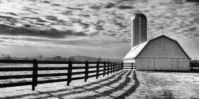 Afroamerikanische Bäuerinnen und Bauern wollen ihr Land zurück. (Bild lid)