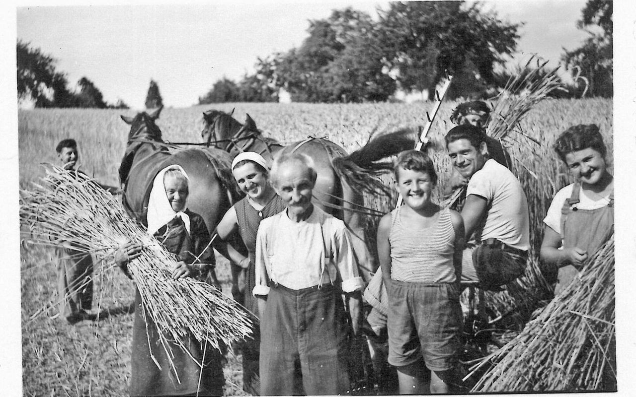 Bauernsohn Hansjörg Häberli (ganz links) bei der Getreideernte im Jahr 1952. 