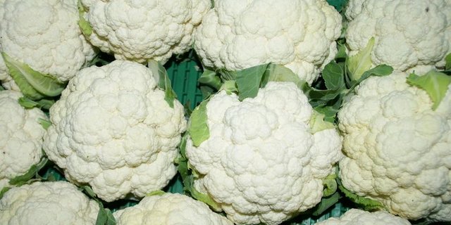 Blumenkohl ist der beliebteste Kohl in der Schweiz. (Bild lid) 