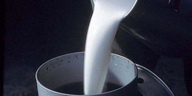 Elsa erhöht seine Schwyzer-Milchhuus-Beteiligung von 34 auf 60 Prozent. (Bild zVg)