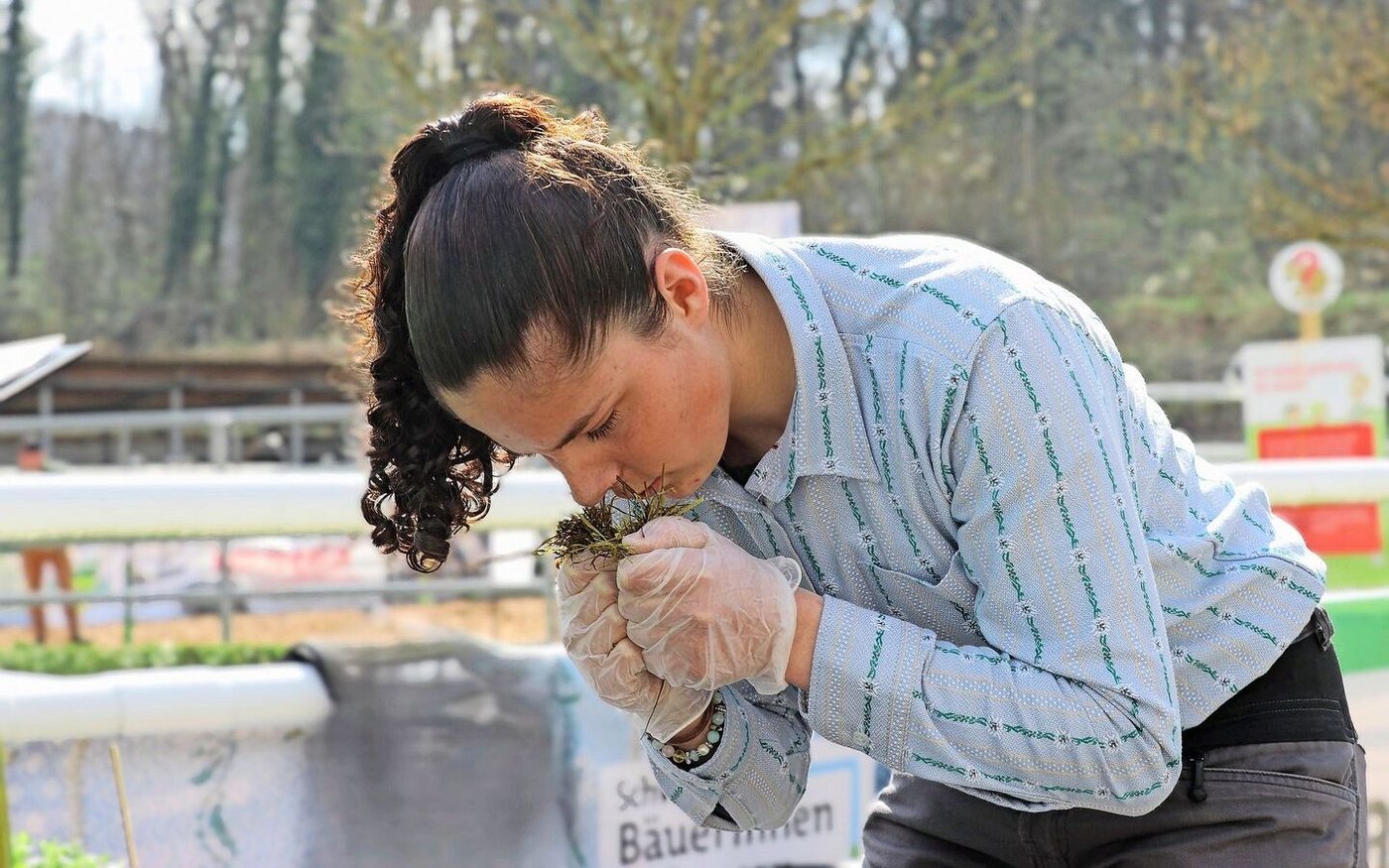Das Umfeld ausschalten und tief durchatmen: Annina Hartmann beim Beurteilen von Silage. 