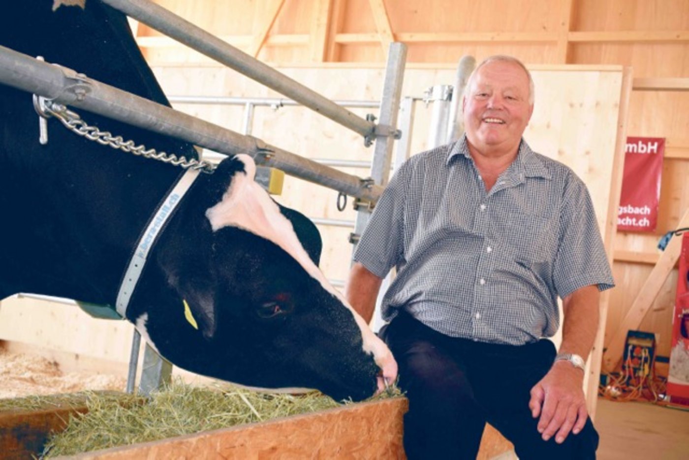 Als grosser Munihändler weiss Ernest Schlaefli auch mit diesem Koloss umzugehen. Und beim Urteil bleibt er wie immer diplomatisch: «Wenigstens ist er schön gross.» (Bilder Daniela Joder)