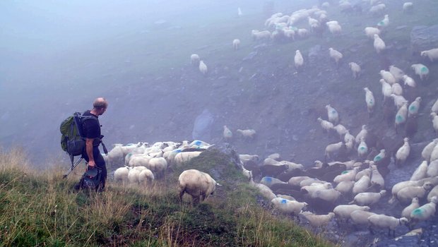 Im Film kommen verschiedene Parteien zu Wort, auch Schafhalter und Hirten. Im Bild Ueli Metz auf der Alp Ramuz GR. (Bilder zVg)