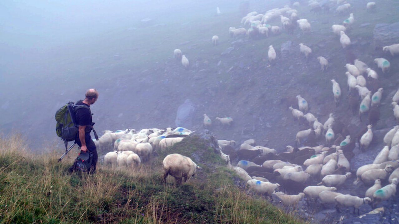 Im Film kommen verschiedene Parteien zu Wort, auch Schafhalter und Hirten. Im Bild Ueli Metz auf der Alp Ramuz GR. (Bilder zVg)