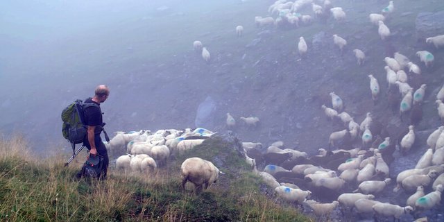 Im Film kommen verschiedene Parteien zu Wort, auch Schafhalter und Hirten. Im Bild Ueli Metz auf der Alp Ramuz GR. (Bilder zVg)