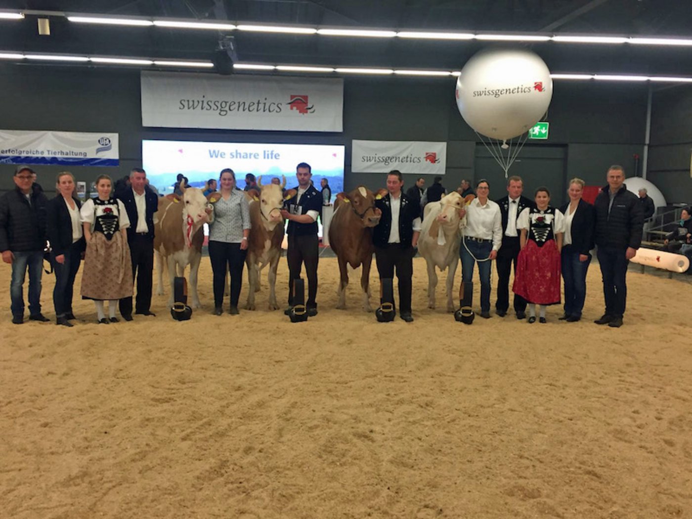 Die Junior Missen Simmental und Swiss Fleckvieh am Jungkuh-Championat in Thun BE. (Bild pf)