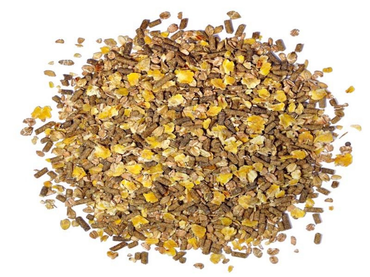 Die Schweiz ist bei Futtermitteln stark von Importen abhängig. (Bild zVg)