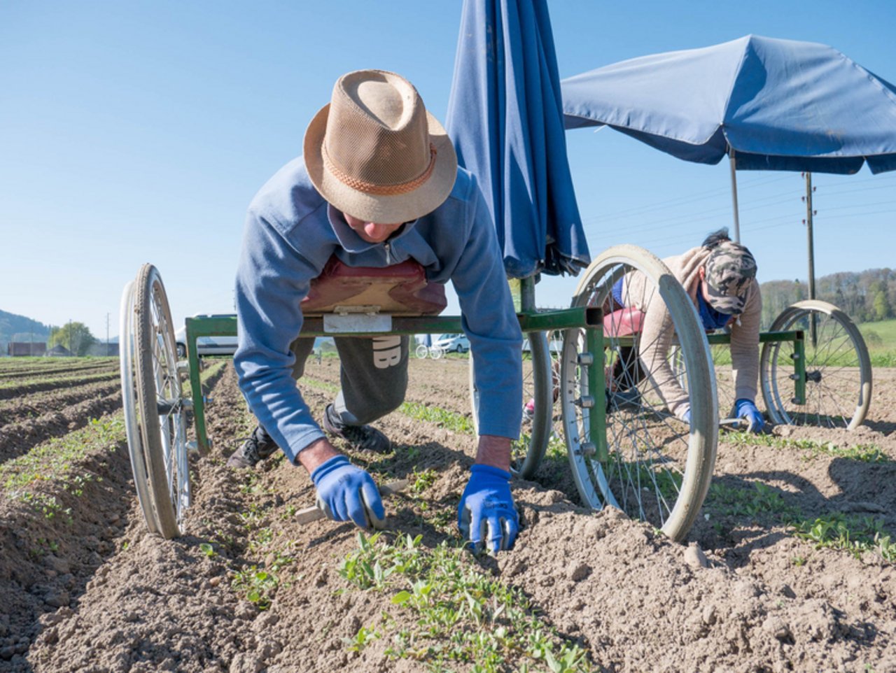 Die Jät-Equipe kommt vor allem in der Bio-Landwirtschaft zum Einsatz. (David Eppenberger)