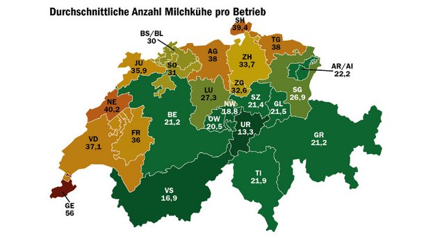 Landwirtschaft in Zahlen: Milchviehbestand im Kantonsvergleich Die durchschnittliche Zahl der Milchkühe, die auf Betrieben gehalten werden schwankt im Kantonsvergleich stark. (Grafik: mi, Quelle: BLW, Daten Milchproduktion 2020)