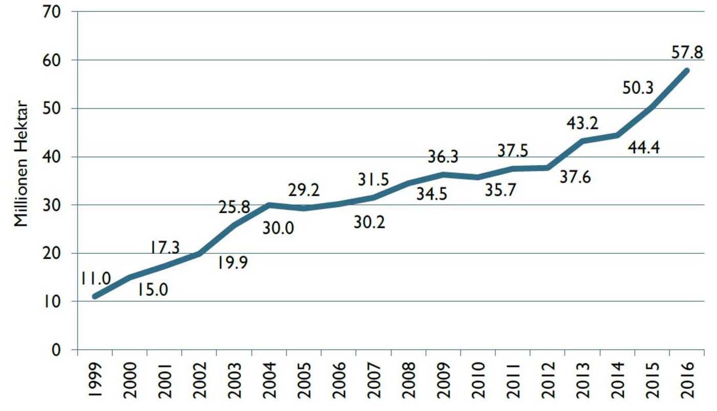... und die globale Flächenentwicklung.