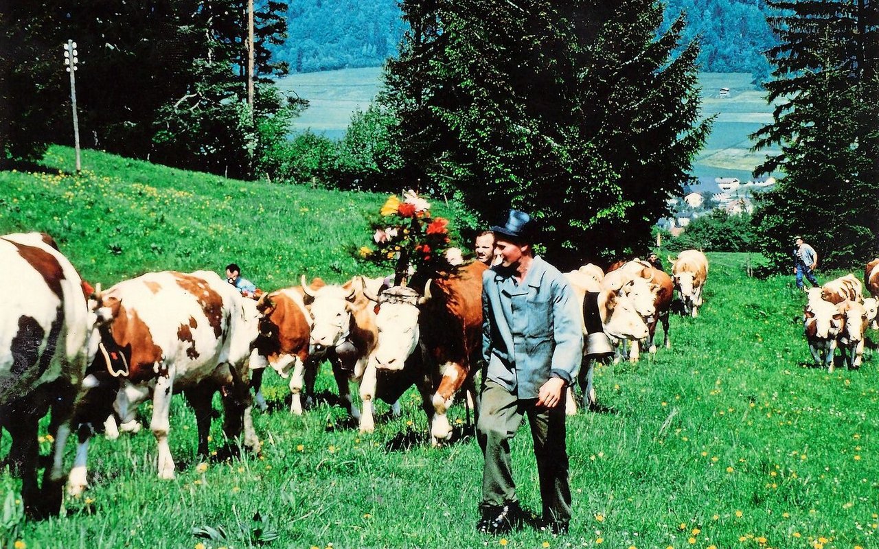 Die Züglete: Am 26. Mai 1977 ging es von Courtelary hinauf aufs Twannbergli. Drei Stunden dauert der Fussmarsch. Bis heute ist die Züglete ein grosser Höhepunkt der Familie Bühler. 