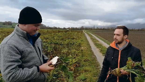 Die von den angehenden Landwirtinnen und Landwirten produzierten Kurzfilme decken verschiedene Themen ab. Eine Gruppe hat sich beispielsweise mit der Herkunft unseres Zuckers befasst. (Bild zVg)