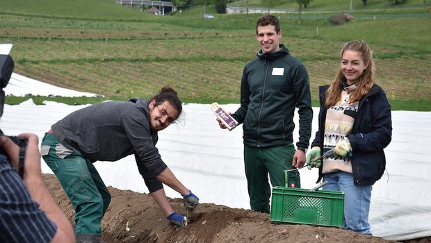 Am Medienanlass des Berner Bauernverbandes erzählten Michael Hodel (mitte) und die Erntehelfer Moritz Zwahlen und Tabea Ryff von ihren Erfahrungen. (Bild jba) 