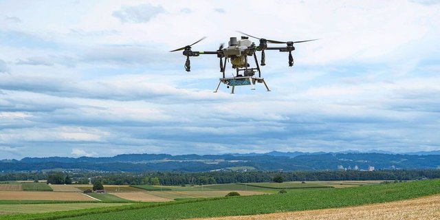 Die Drohne fliegt mit einem Abstand von 2 bis 3 Metern übers Feld. Die Flüge führen die Agrarpiloten aus.