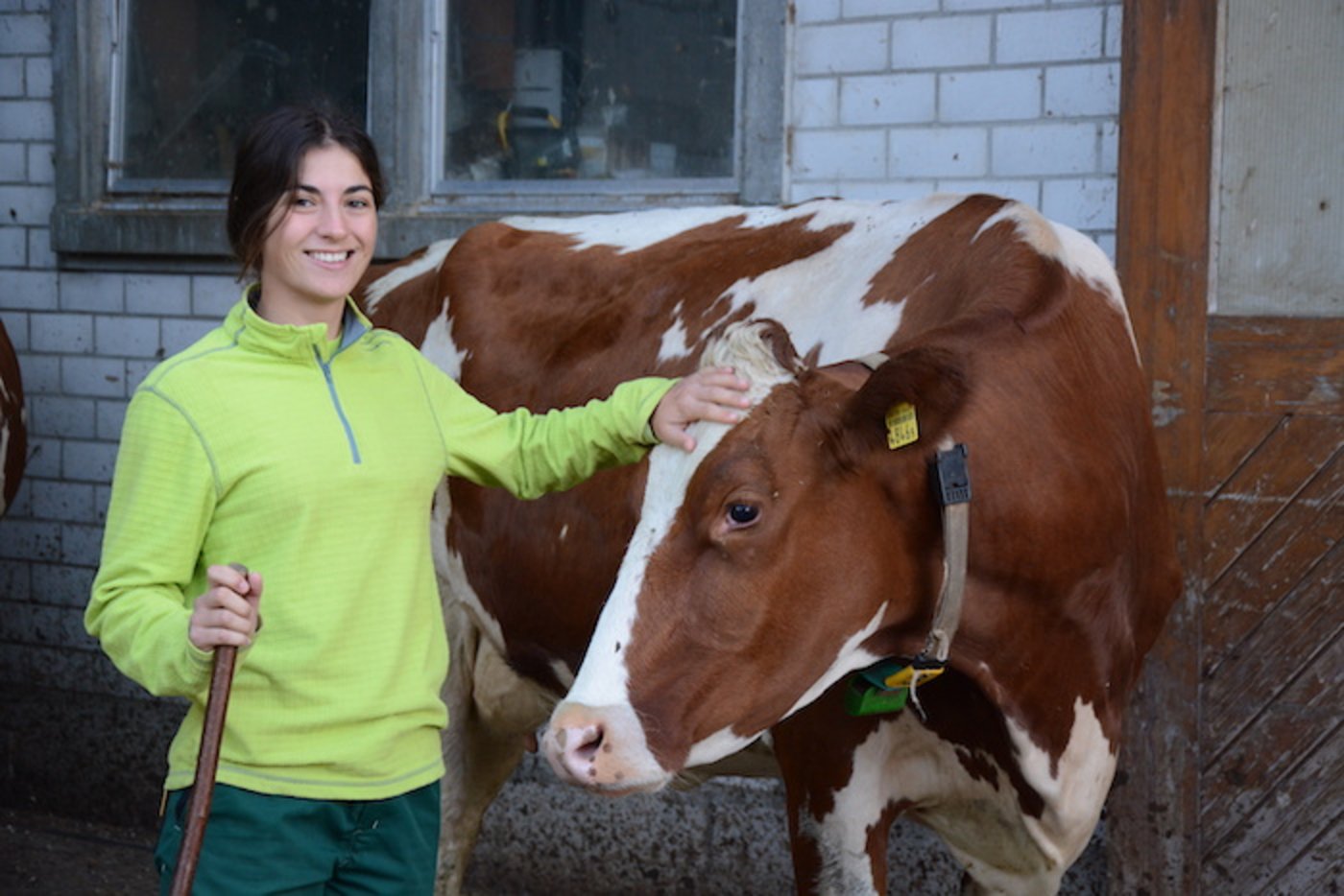 Im Umgang mit Kühen hat Sofia Benagli viel gelernt. Die Studentin der Veterinärmedizin verbrachte im Praktikum drei Wochen auf einem Bauernhof. (Bild Simone Barth)