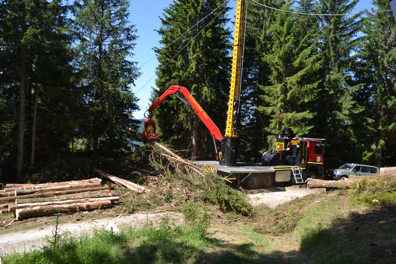 Das Holz wird im Bestand gefällt und im Ganzbaum-Verfahren zur Kombi- Maschine geseilt, wo es vom Harvesterkopf Woody entastet wird.