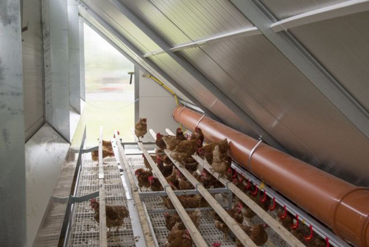 Eine Solarzelle versorgt den Stall mit Strom. Mit diesem wird die LED-Beleuchtung betrieben. 