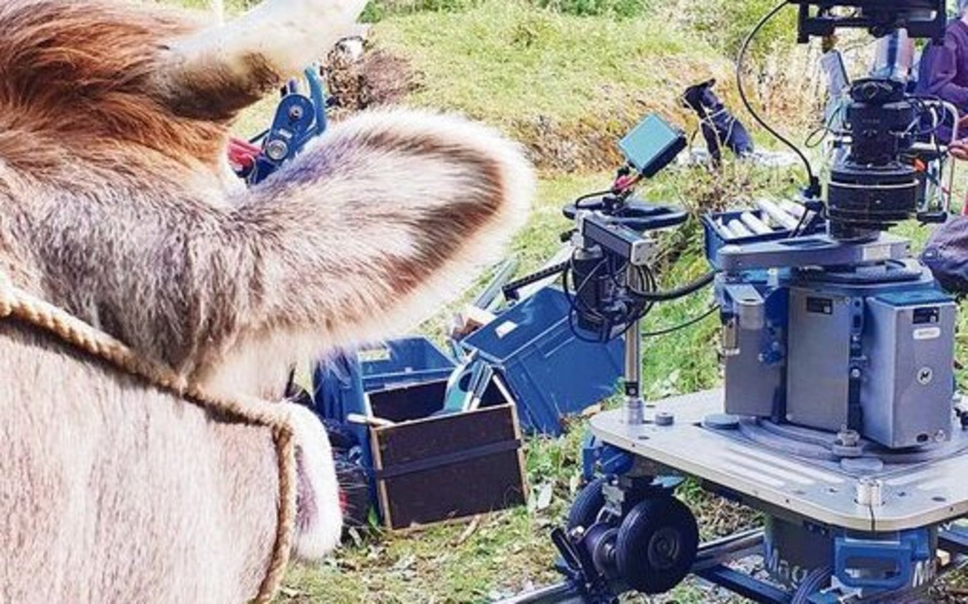 Wo ist die Kamera? Das interessierte Elly immer besonders und sie richtete sich gar nach dem Gerät aus.