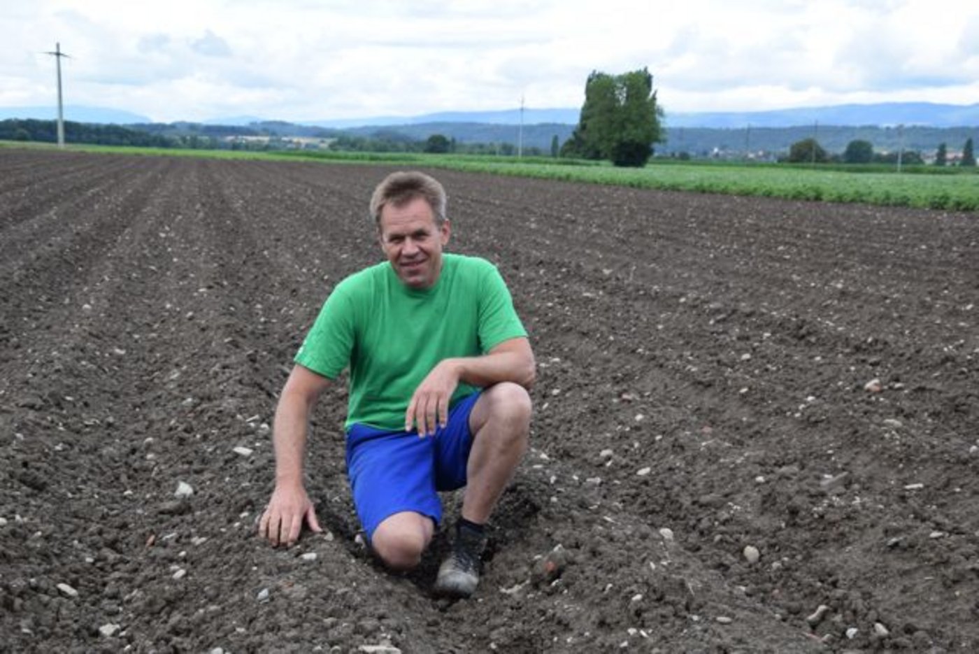 Erst vor vierzehn Tagen hat Ernst Marti aus Kallnach BE auf diesem Feld die Kartoffeln gepflanzt.  (Bild Peter Fankhauser)