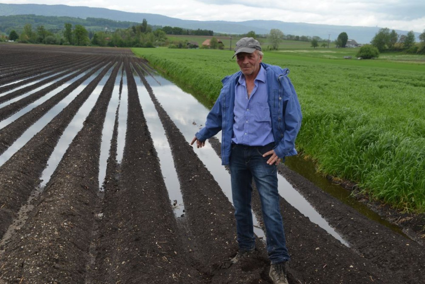 Hier zeigt Walter Küffer aus Ins BE sein beschädigtes Kartoffelfeld: Jetzt komme es drauf an, wie sich das Wetter weiterentwickle. (Bild Peter Fankhauser)