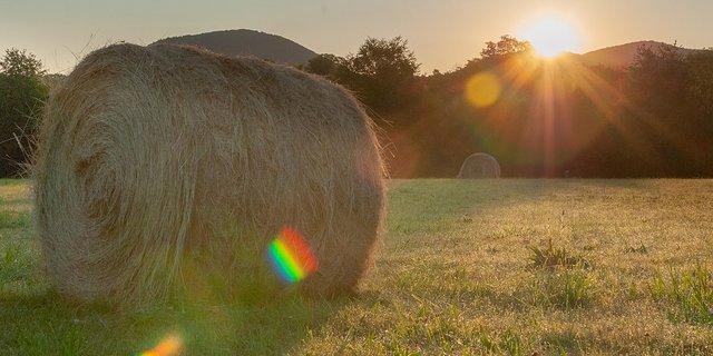Auch in Frankreich war es diesen Sommer sehr trocken. (Symbolbild Pixabay)