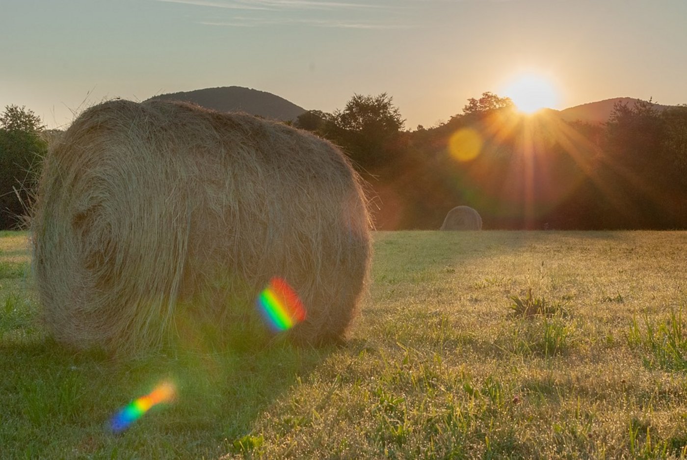 Auch in Frankreich war es diesen Sommer sehr trocken. (Symbolbild Pixabay)