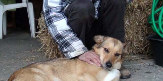 Im Godähöfli in Chur werden viele Freundschaften geschlossen, sei es zwischen Mensch und Tier oder zwischen Mensch und Mensch. (Bilder: zVg)