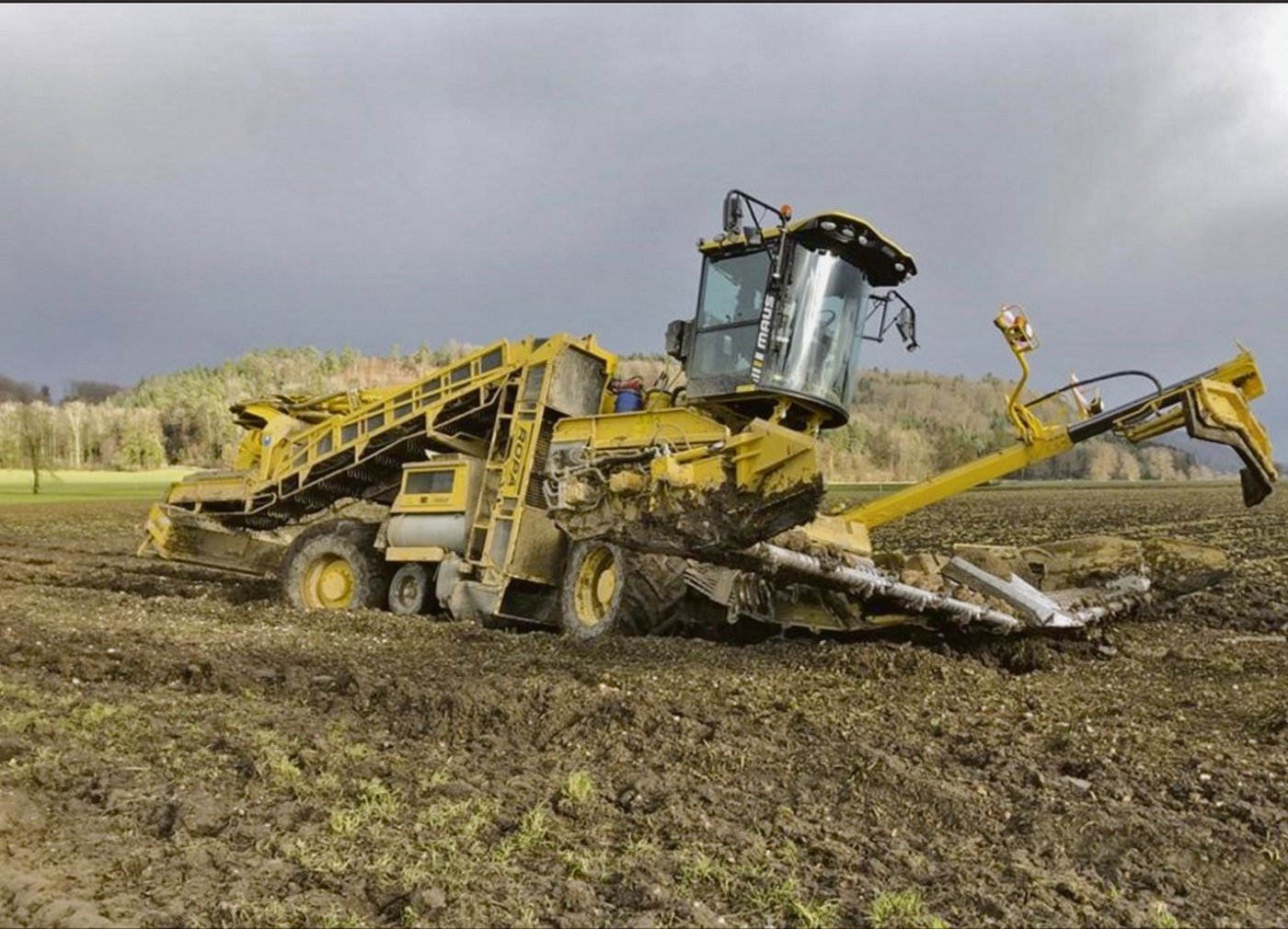 Die Verladebedingungen der Zuckerrüben passen nicht allen. (Bild Rübenring-Genossenschaft)