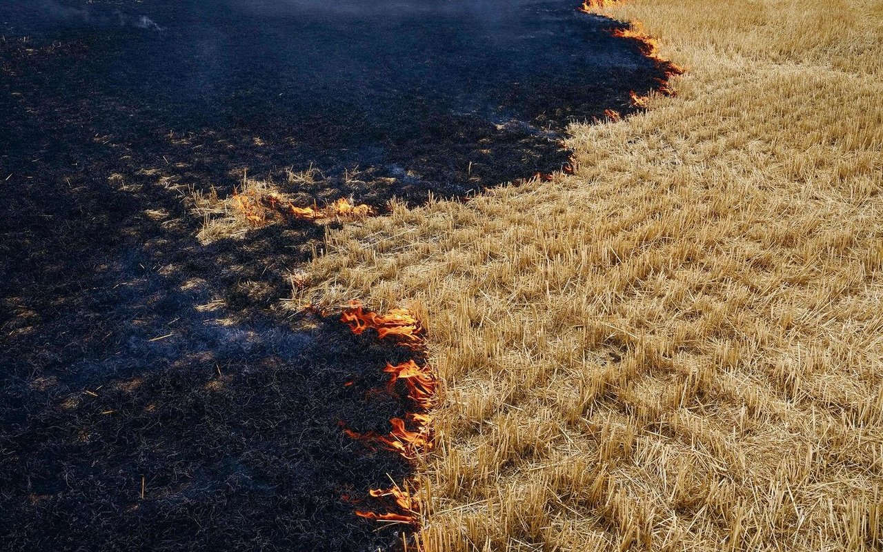 Getreidefelder brennen bei Kurakhove, Gebiet Donezk, Ostukraine, Donnerstag, 21. Juli 2022.