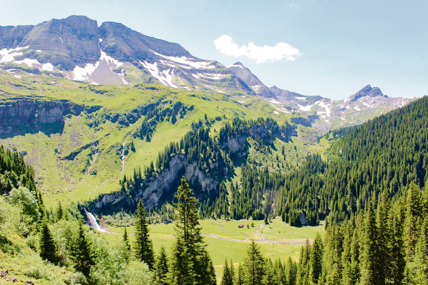 Die teilweise sehr steilen Flächen der Alp Tschingelfeld im Giessbach machen die Bewirtschaftung nicht einfach. Ein «Danke» an die Bewirtschaftenden kommt in Form des Kulturlandschaftspreises.