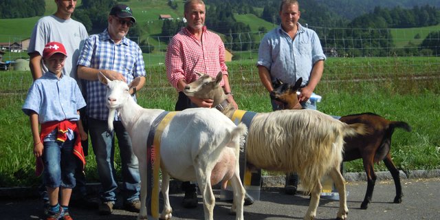 Die drei Rassensiegerinnen (von rechts): Blanka von Beat Schöpfer, Wiesenberg; Inka von Meinrad Schädler, Bennau und Madonna von Tino & Valo Gisler, Bürglen. (Bilder zVg)