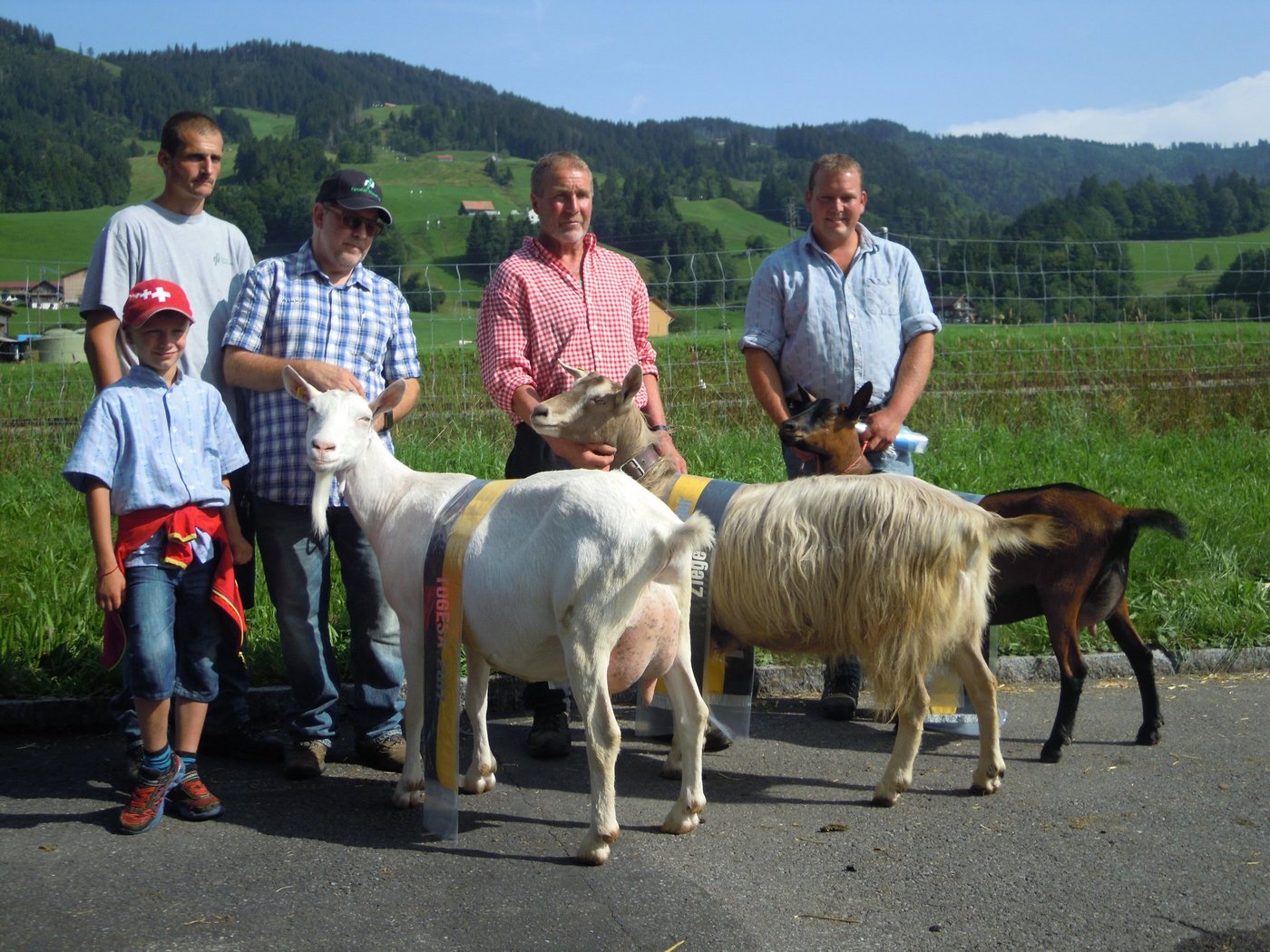 Die drei Rassensiegerinnen (von rechts): Blanka von Beat Schöpfer, Wiesenberg; Inka von Meinrad Schädler, Bennau und Madonna von Tino & Valo Gisler, Bürglen. (Bilder zVg)