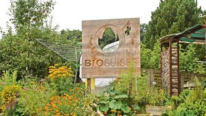 Biobäuerinnen und Biobauern machen bereits viel fürs Klima, dies müsse Bio Suisse besser kommunizieren, finden die Mitglieder von Bio Ostschweiz.  