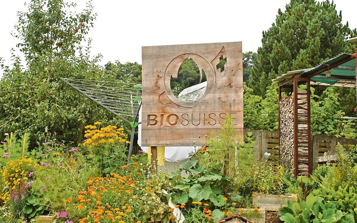 Biobäuerinnen und Biobauern machen bereits viel fürs Klima, dies müsse Bio Suisse besser kommunizieren, finden die Mitglieder von Bio Ostschweiz.  