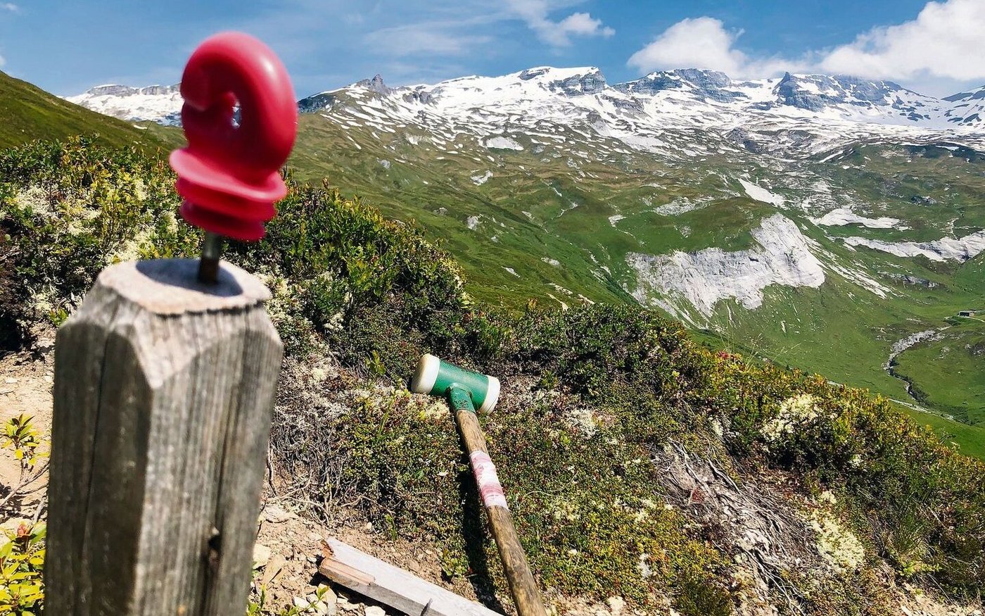 Schwerarbeit: Je höher die Autorin steigt, desto schlechter ist der Zaun. 