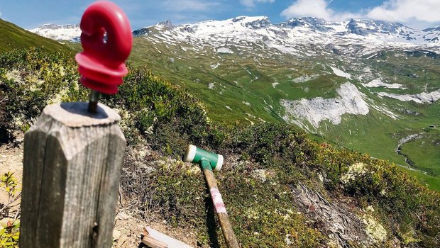 Schwerarbeit: Je höh Schwerarbeit: Je höher die Autorin steigt, desto schlechter ist der Zaun.