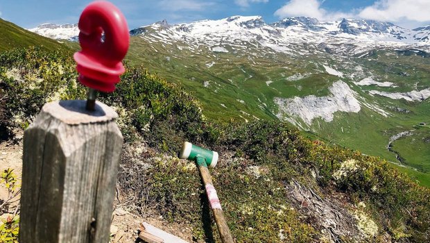 Schwerarbeit: Je höher die Autorin steigt, desto schlechter ist der Zaun. 