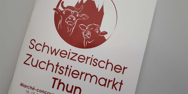 Im Katalog des Zuchtstiermarkts sind wiede rmehr Stiere drin. 