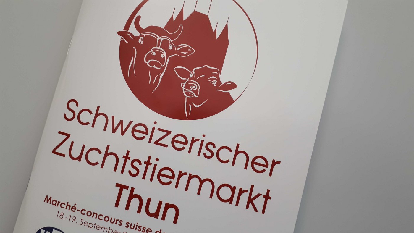 Im Katalog des Zuchtstiermarkts sind wiede rmehr Stiere drin. 