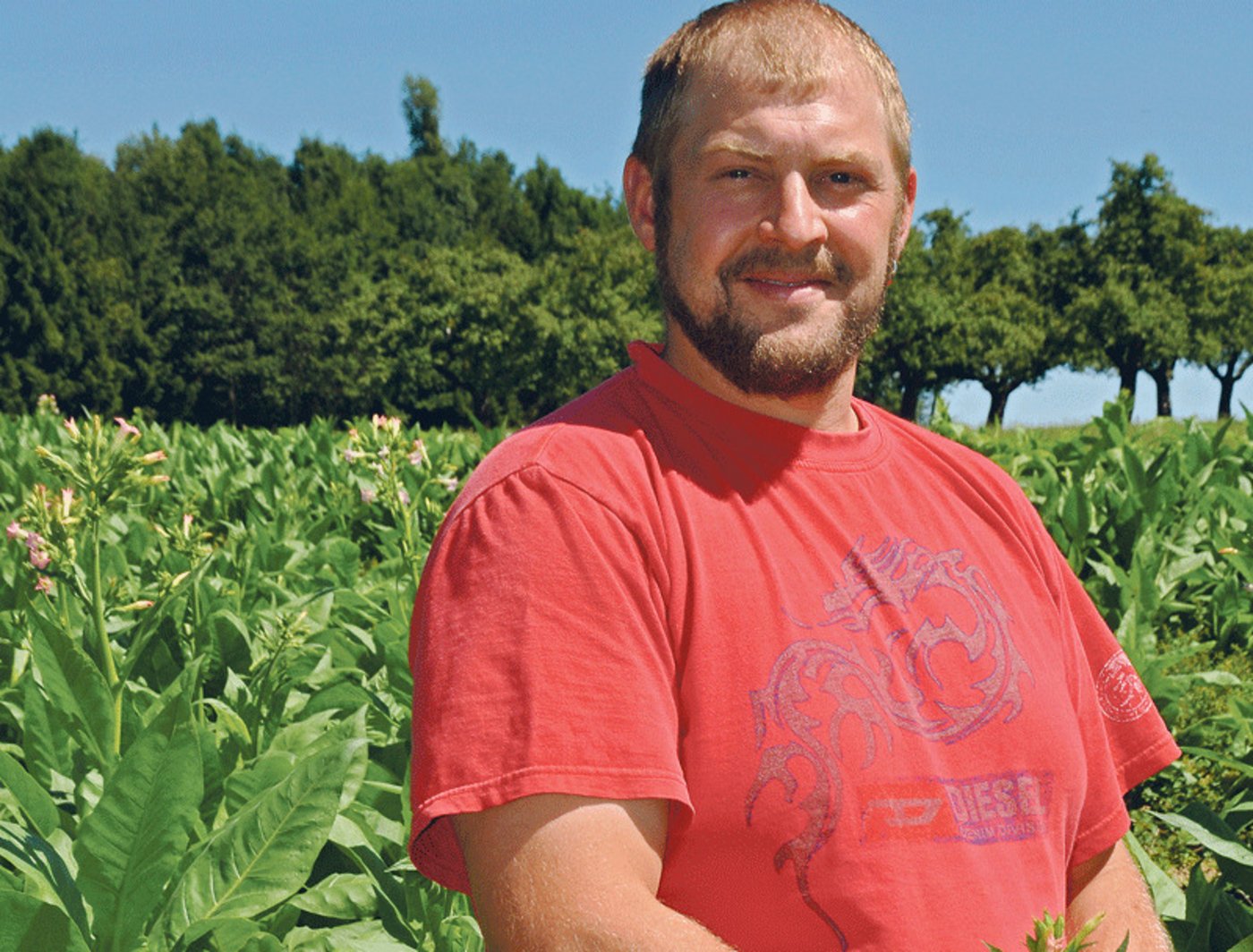 Cornel Gähwiler baut neu Tabak an. Für ihn steht vorerst nicht der finanzielle Ertrag, sondern das Experiment im Vordergrund. (Bild nb)