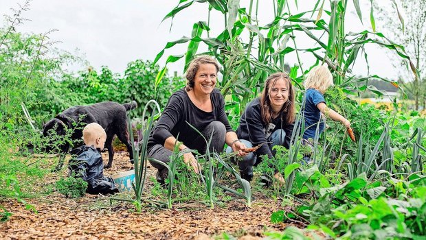 Die Ausbildnerin Tam Die Ausbildnerin Tamara Vogel (l.) holt mit ihrer Agriprakti-Jugendlichen Vivien Schönbächler, ihren beiden Kleinkindern und dem Hund frische Karotten aus dem Garten.
