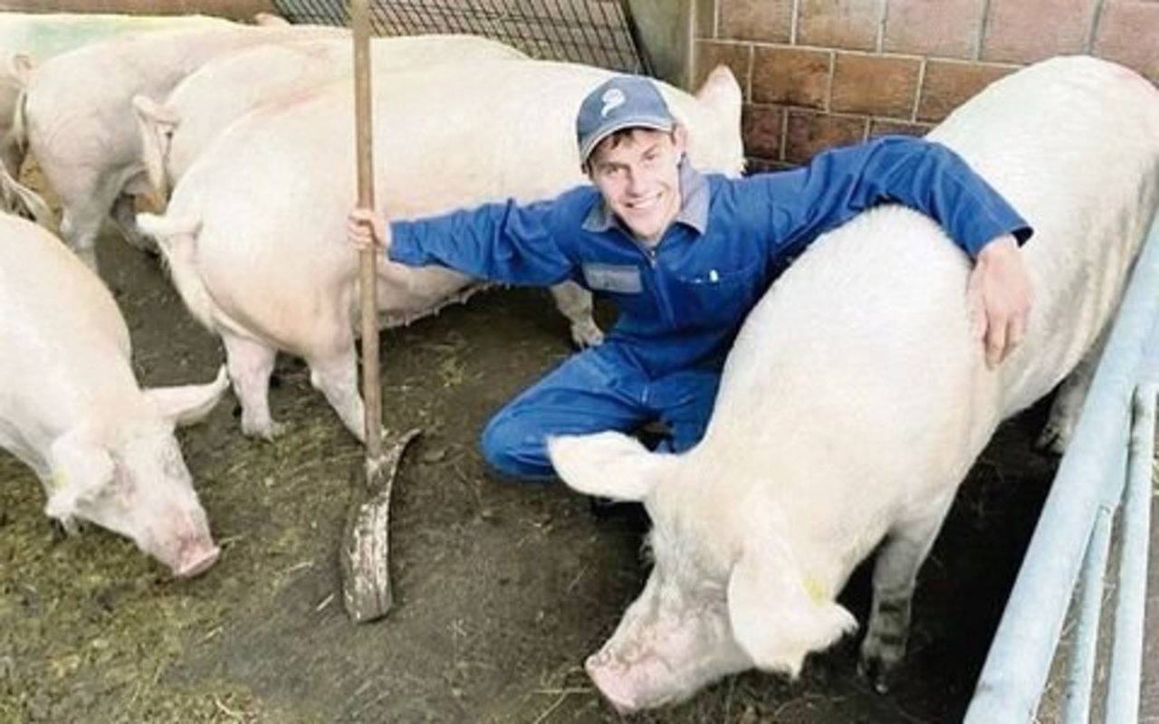 Dominik Rolli ist auf seinem Betrieb für die 60 Mutterschweine zuständig.