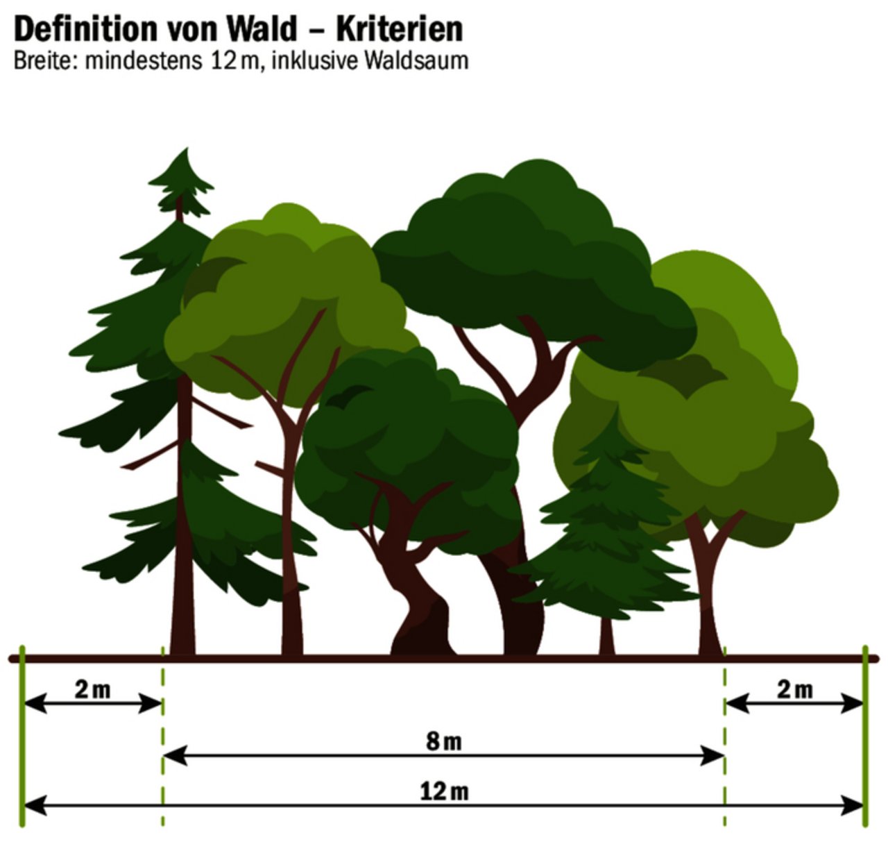 Im Kanton Freiburg zählt ein Wald, wenn dieser in der Breite mindestens zwölf Meter, inkl. zwei Meter Waldsaum, aufweist.