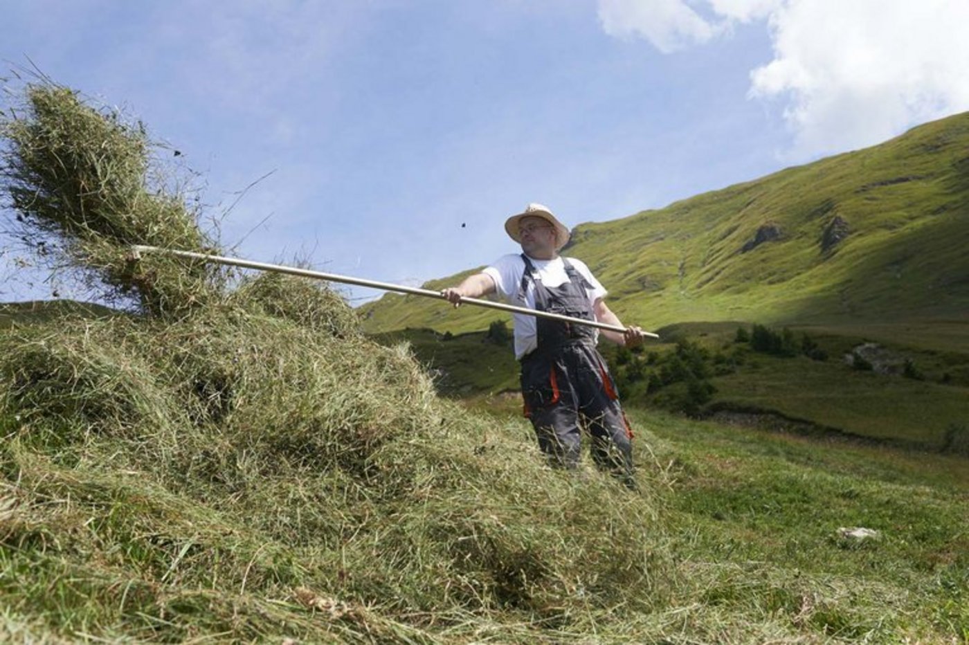 Geholfen wird zum Beispiel beim Heuen. (Bild zVg)