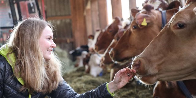 Flavia Ursprung fühlt sich im Stall genauso wohl wie am Bürotisch. Vielseitig und selbstbestimmt bezeichnet sie ihre Arbeit als Bäuerin. (Bild Ruth Aerni)