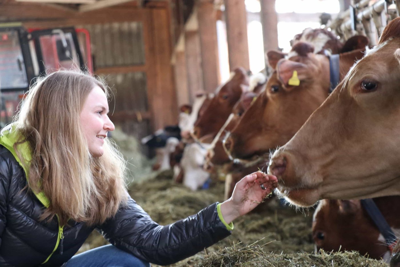 Flavia Ursprung fühlt sich im Stall genauso wohl wie am Bürotisch. Vielseitig und selbstbestimmt bezeichnet sie ihre Arbeit als Bäuerin. (Bild Ruth Aerni)