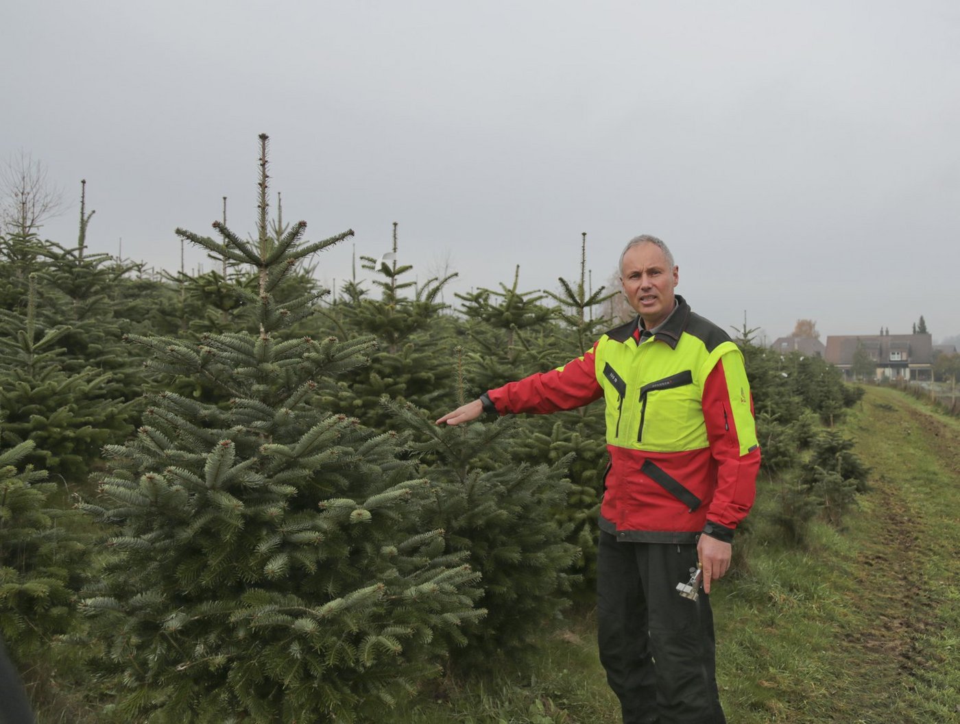 Die Frische seiner Bäume sei der entscheidende Kaufgrund, sagt Hansjakob Häberli. (Bild ji/lid)