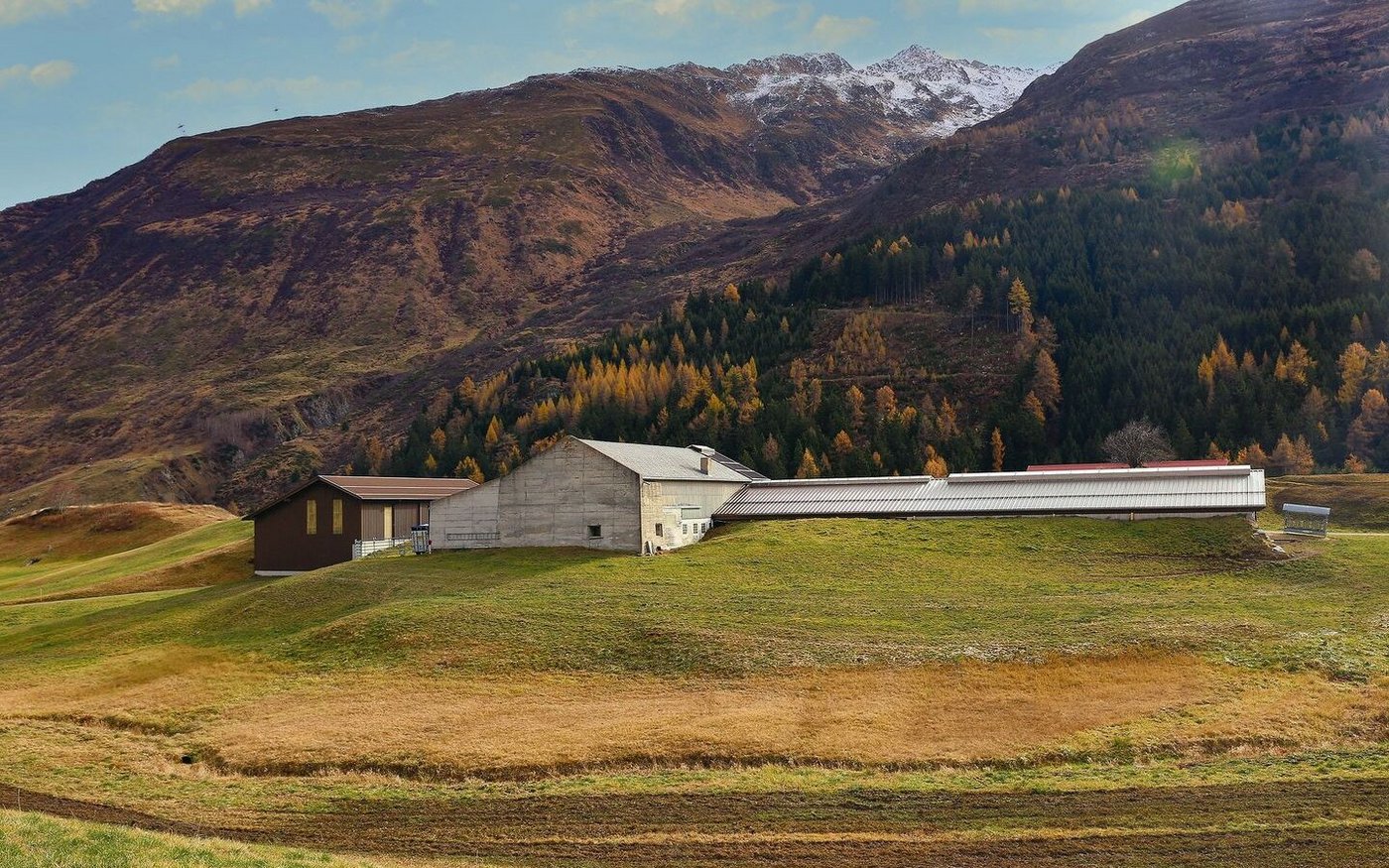 Durch die grossen Schneemengen im Urserental besteht die Gefahr durch Lawinen. Die Stallgebäude der Familie Gisler wurden möglichst lawinensicher gebaut.