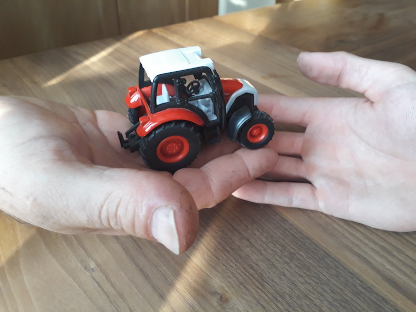 Bevor der Hof mit allem Drum und Dran übergeben wird, müssen die  Beteiligten viel reden. (Bild Renate Hurni)