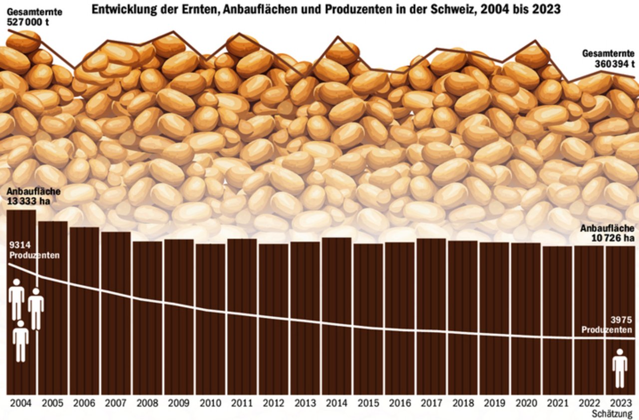 Immer weniger Produzenten bauen Kartoffeln an. Die Fläche pro Produzent ist von 143 auf 270 Aren gestiegen, die Kartoffelfläche hat insgesamt jedoch abgenommen. Im vergangenen Jahr wurden durchschnittlich nur 336 dt/ha geerntet.